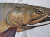 Brook Trout Embroidered Pillow Cover Set