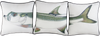 Tarpon &quot;Green&quot; Embroidered Pillow Cover Set