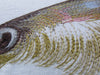 Redfish 3 Piece Embroidered Pillow Cover Set